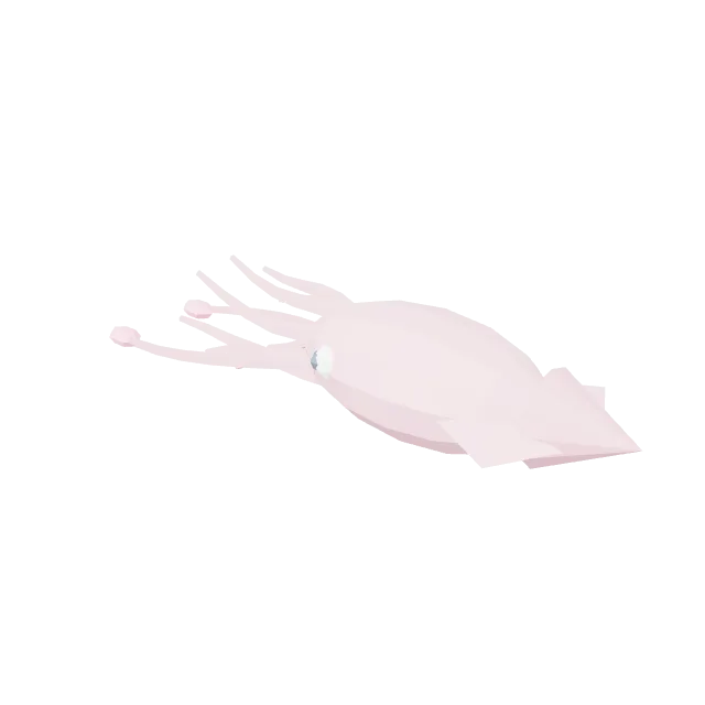 Sea Squid