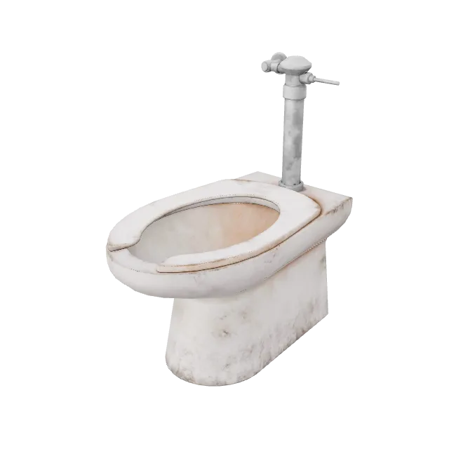 Clinic Toilet