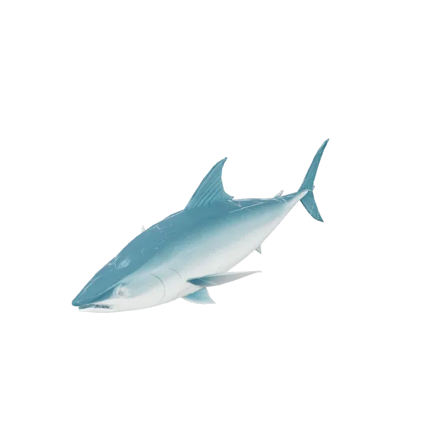 Sea Tuna