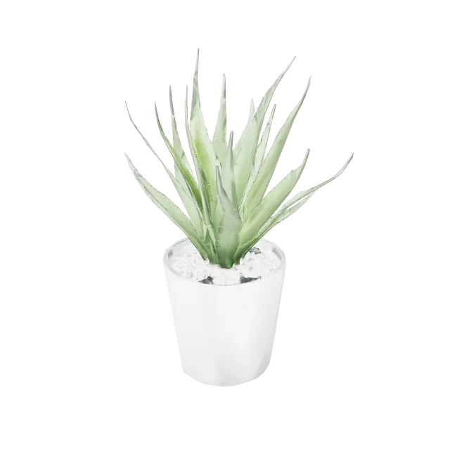 Pot