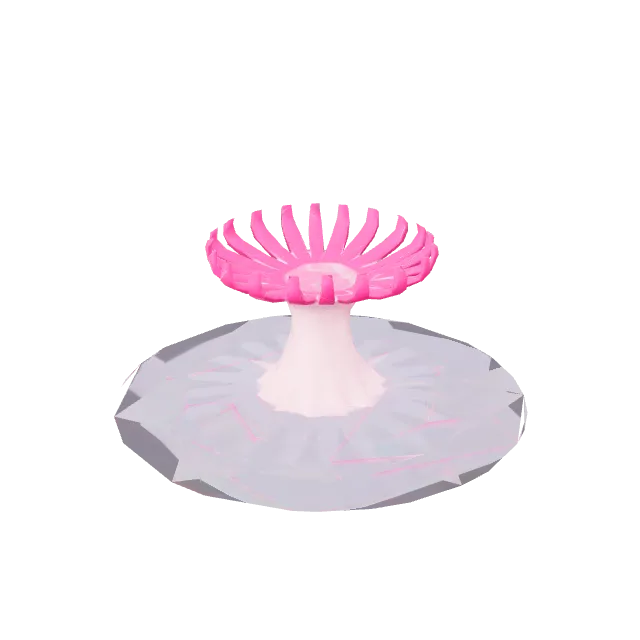 Sea Anemone