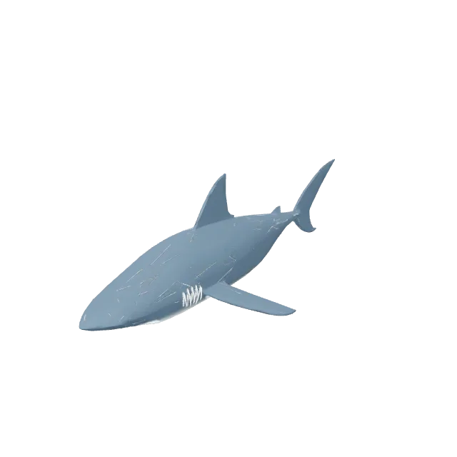 Sea Shark