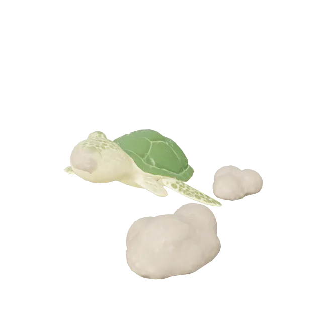 Sea Turtle