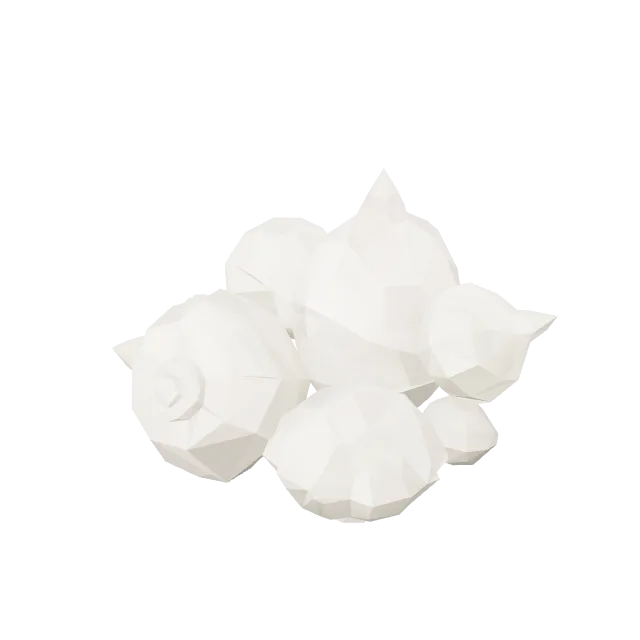 Sea Shell Cluster