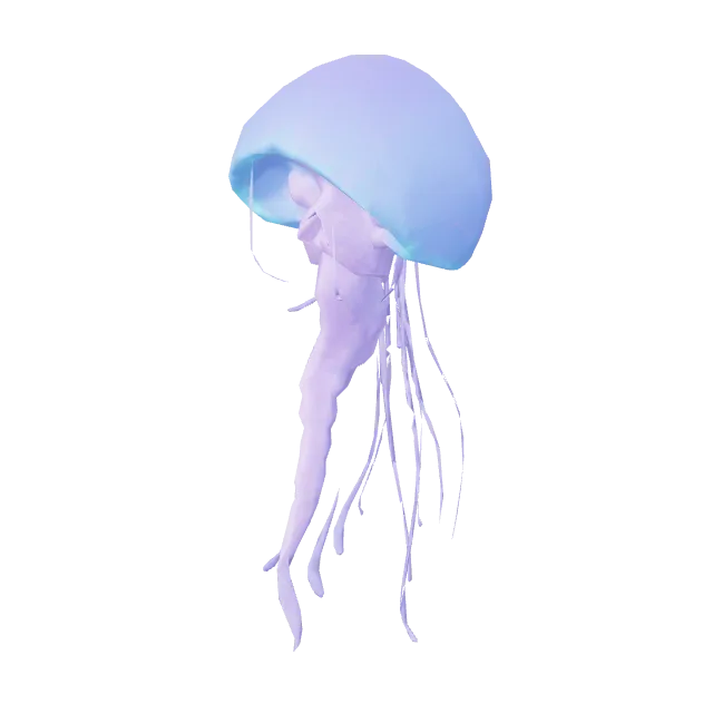 Sea Jellyfish