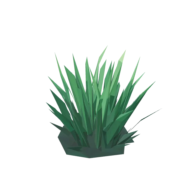 Sea Seagrass