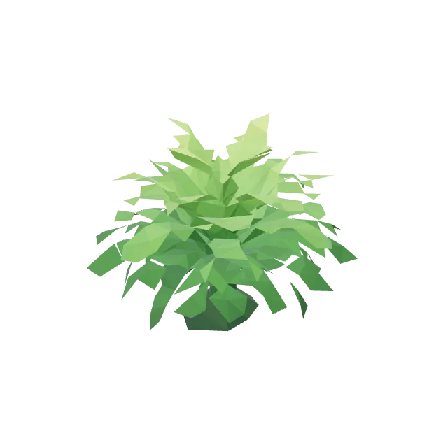 Env Fern Cluster