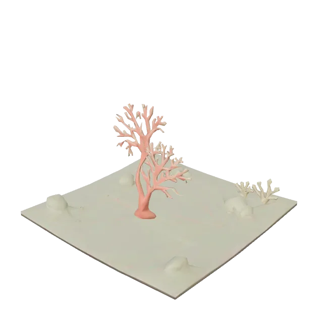 Sea Fan Coral
